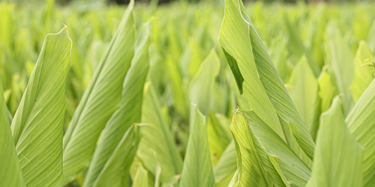 VPro<br>Happy Customers