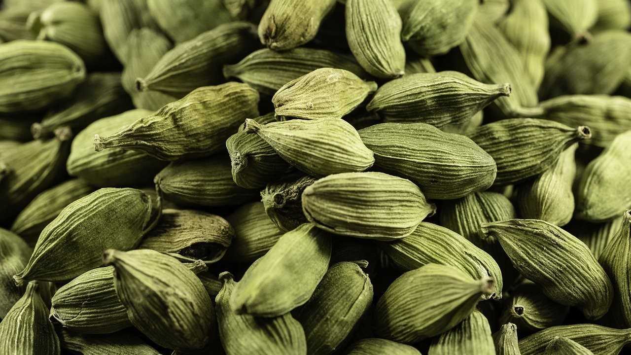 Cardamom