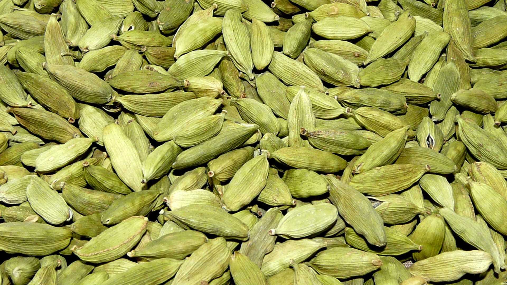 AGEB Alleppey Green Extra Bold