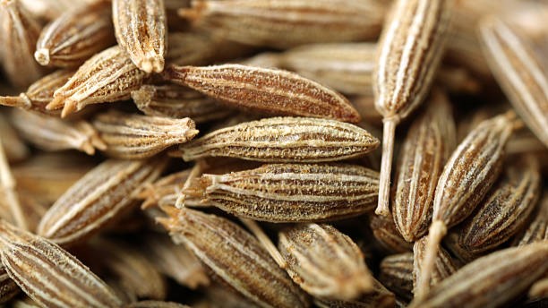 Cumin Seed