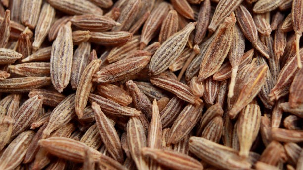 European Quality Cumin Seed