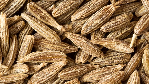 Singapore Quality Cumin Seed