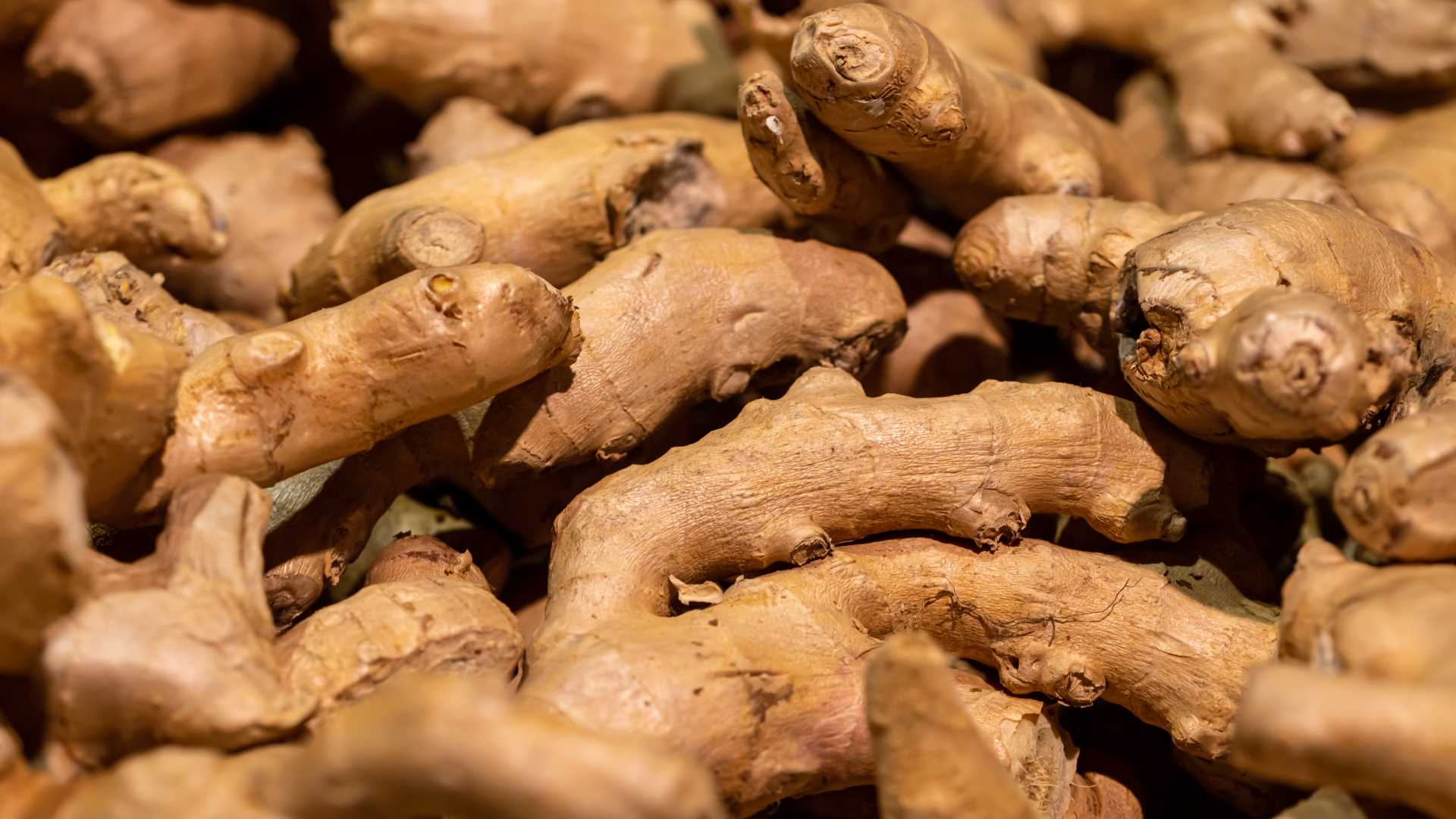 Dried Ginger