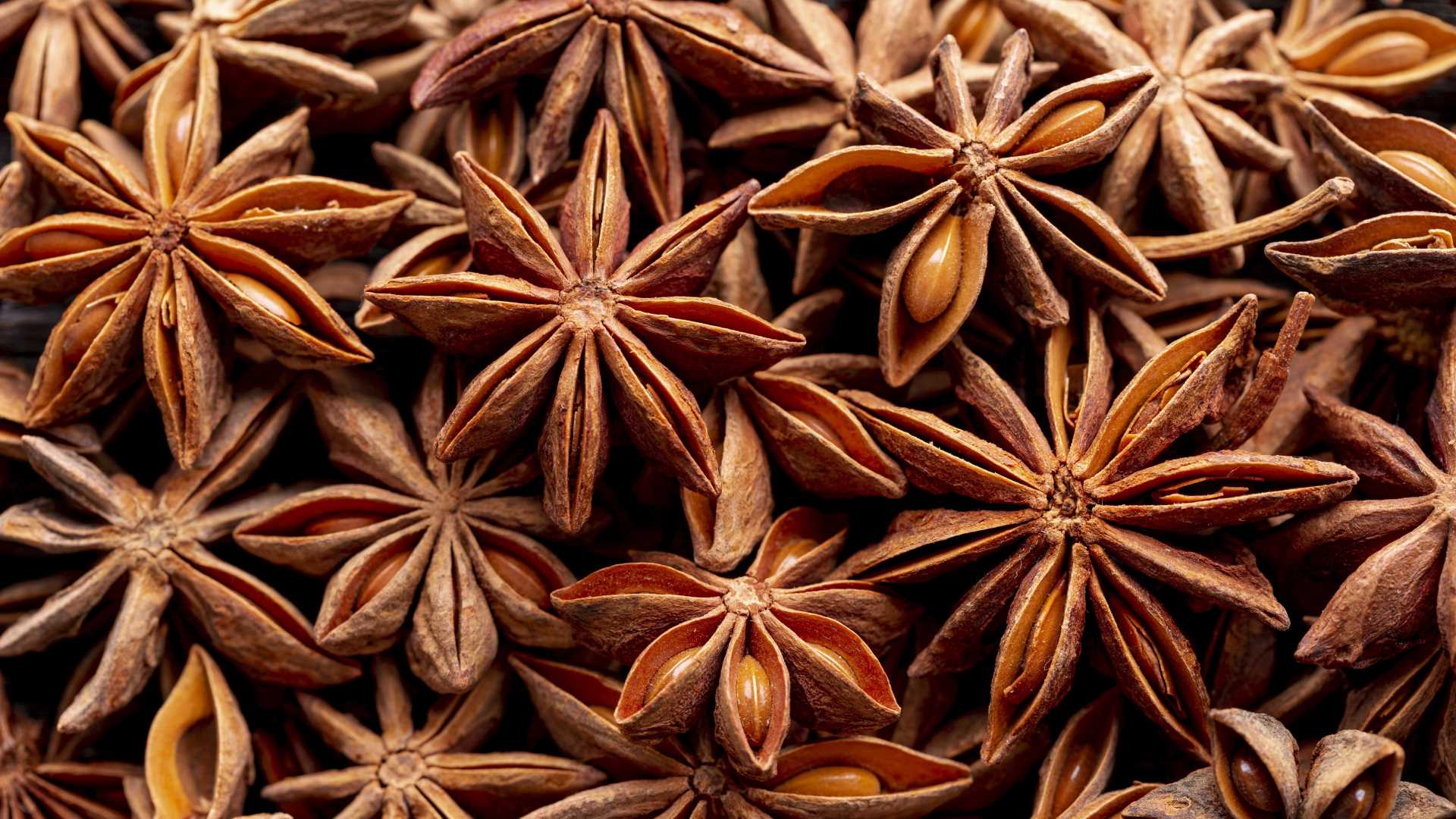 Star Anise