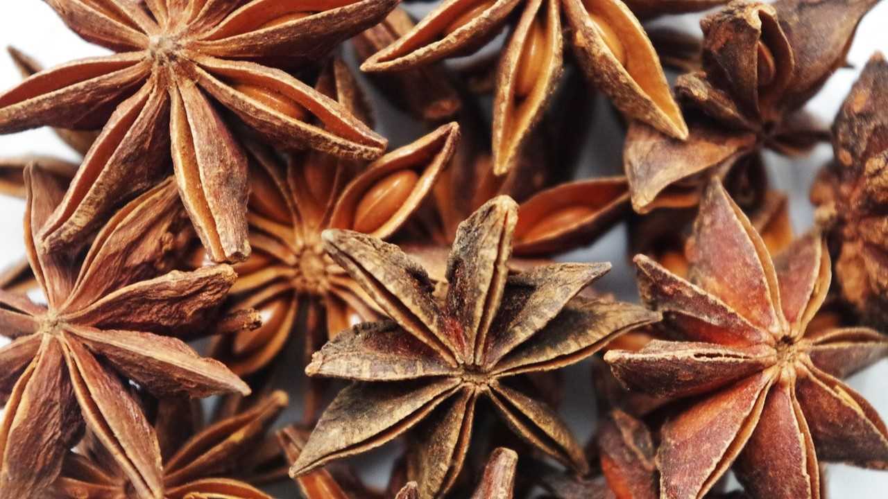 India Star Anise