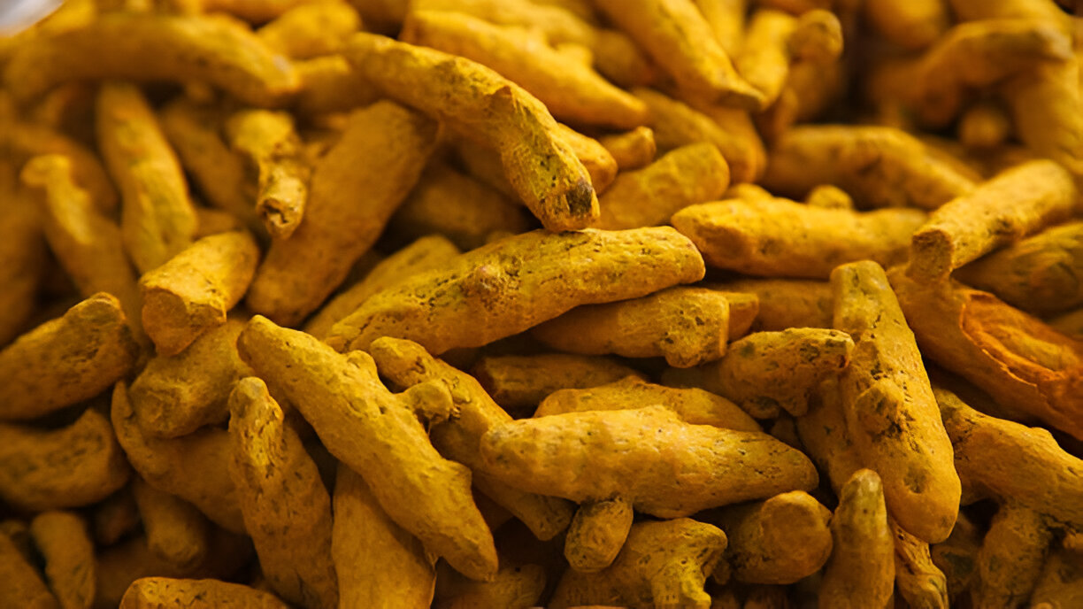 Rajapuri Finger From Maharashtra