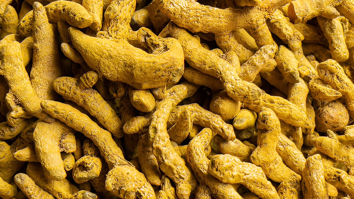 Salem Gattha Finger From Tamil Nadu